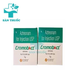 Paracetamol A.T 250 sac - Thuốc giúp giảm đau, hạ sốt hiệu quả