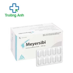Meyerthitic 300 Meyer - Thuốc điều trị bệnh đái tháo đường