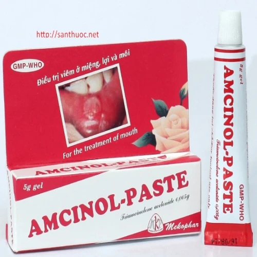 Amcinol Paste - Thuốc điều trị viêm ở lợi, miệng hiệu quả