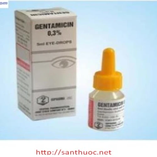 Gentamicin 0,3% Dopharma - Thuốc nhỏ mắt hiệu quả