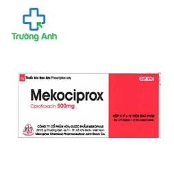 Berberin 100mg Mekophar - Thuốc điều trị tiêu chảy hiệu quả